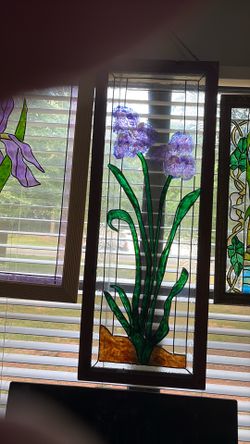 Purple iris