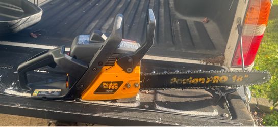 Clean Poulan Pro 260