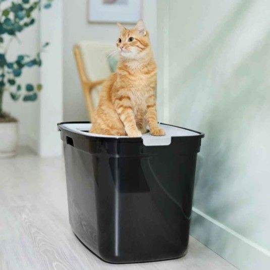 Brand New XL Litter Box Or Automatic Pet Feeder In Great Condition $30 Each