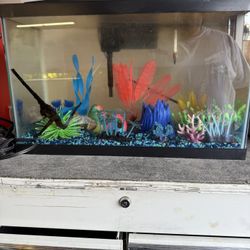 10 Gallon Glo Fish Tank