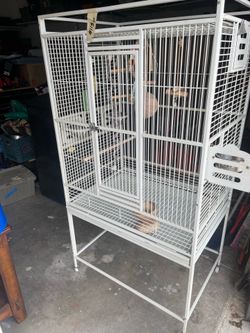 Bird cage