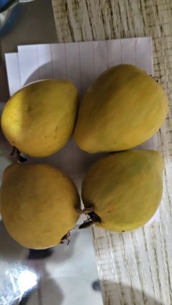 Organic Guavas 