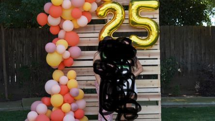 Photo Backdrop Plus 2 Display Boards