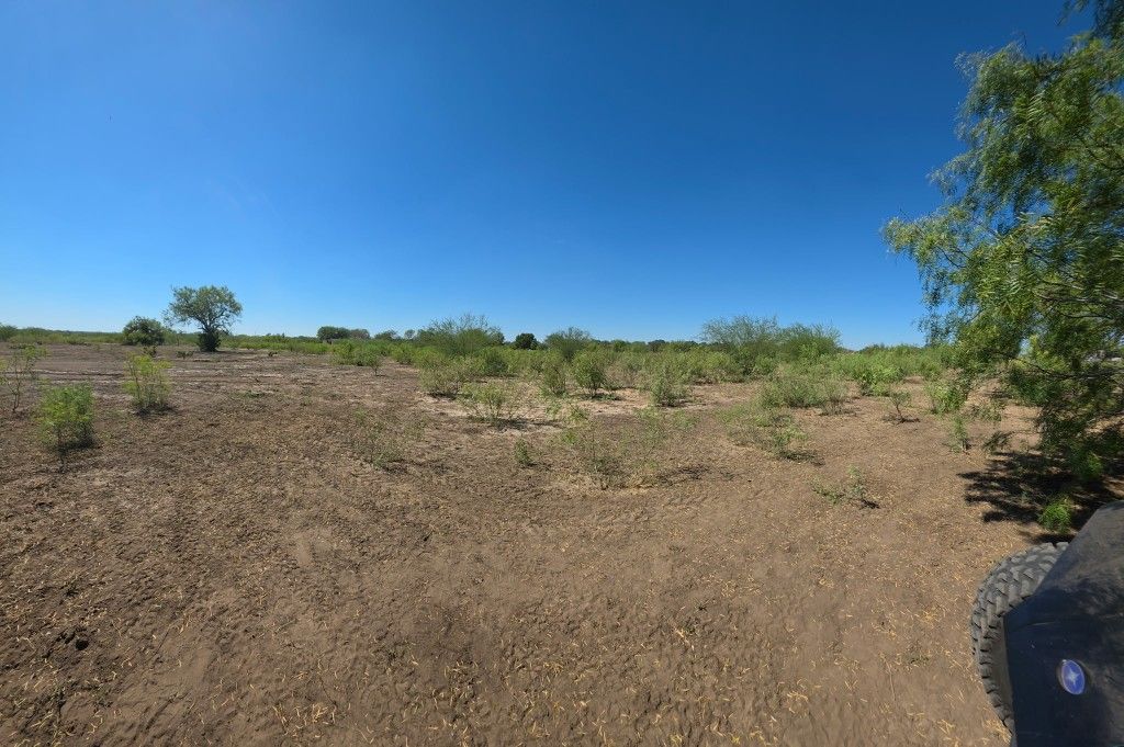 🌵 Mesquite & Brush Removal – Turn Your Land Into Usable Ground 🌾
