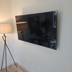 LG 60in TV