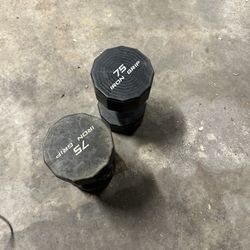 75 LB Dumbbell  