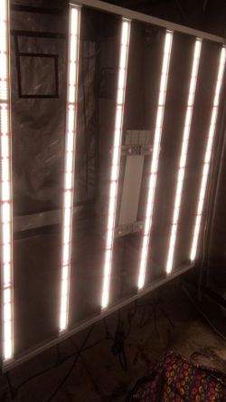 MarsHydro lights