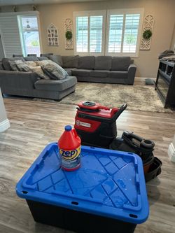 Furniture, couch, and seat shampooing