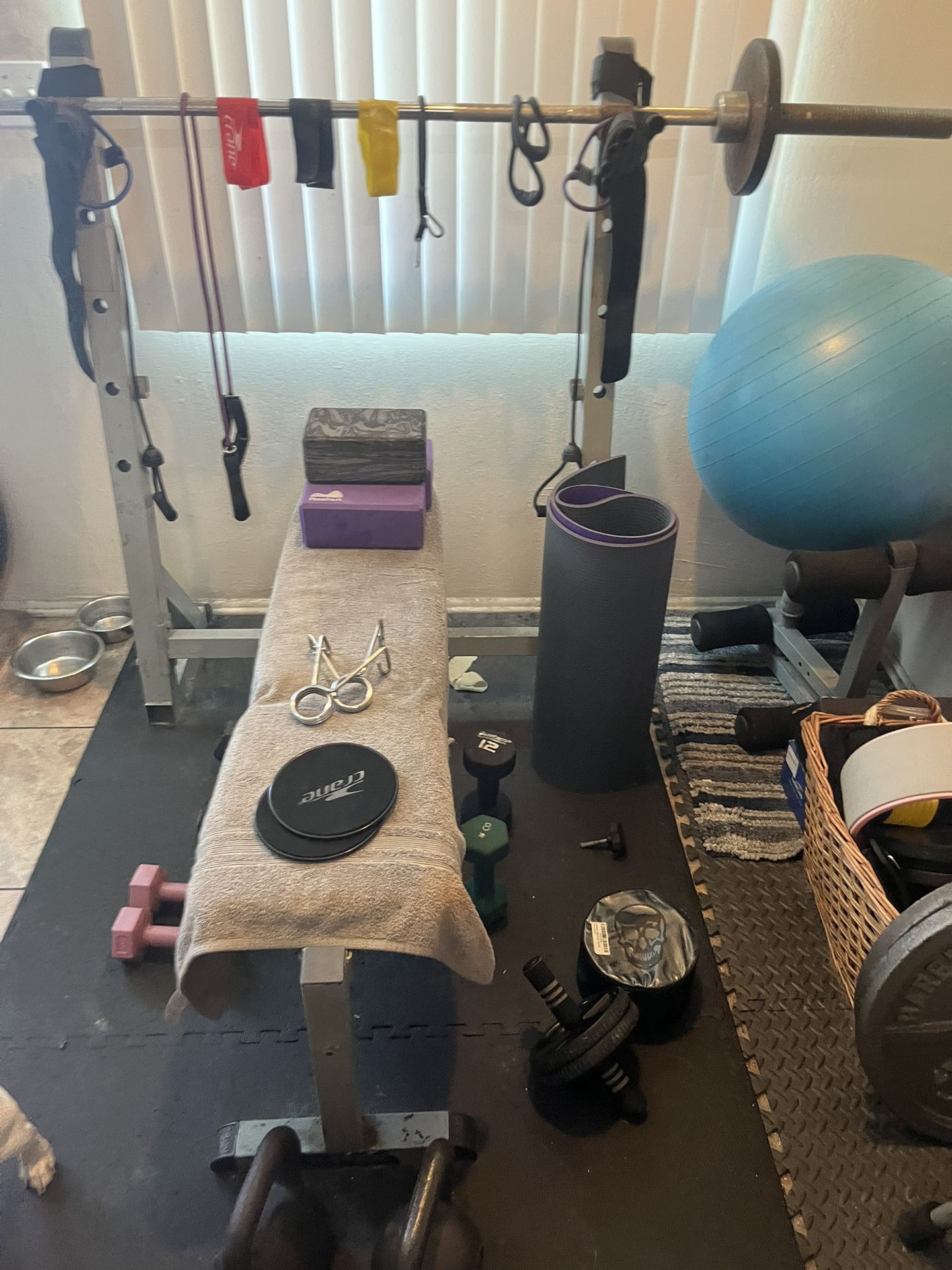 Home Gym #300