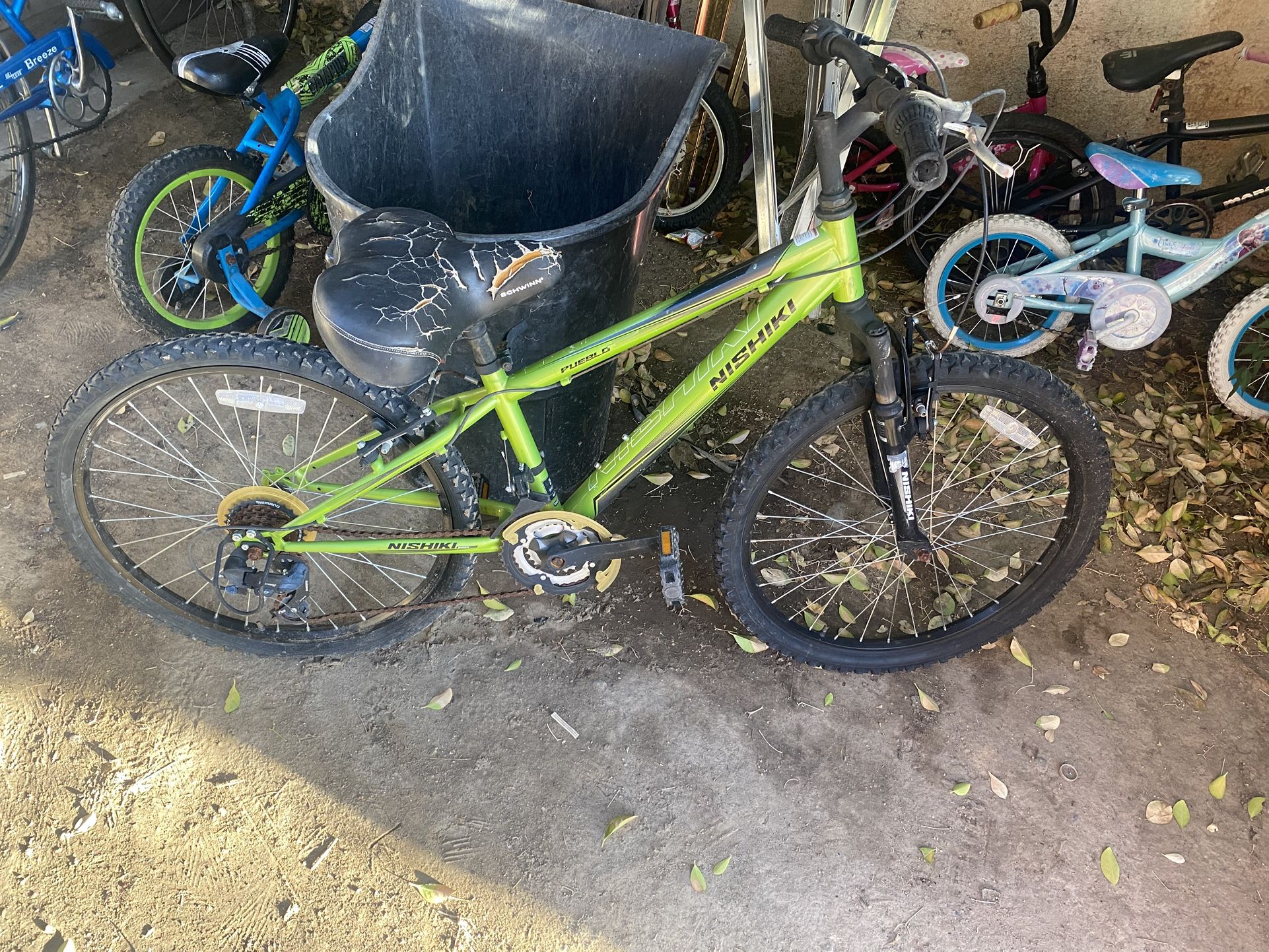 24 Inch Bike