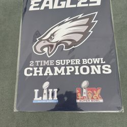 Philadelphia Eagles Super Bowl Champs 12”x18” Metal Tin Sign Home Decor