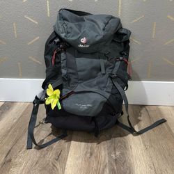 Deuter Backpack