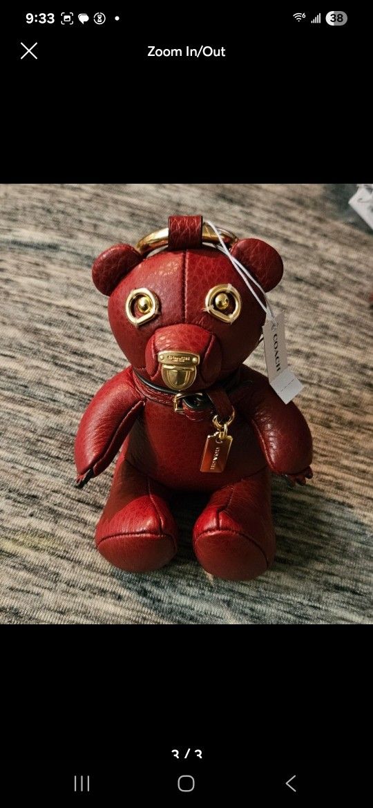 Coach Bear