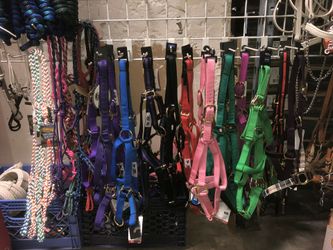 Martigones para caballo / Haulters
