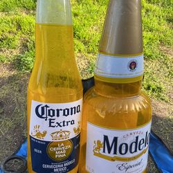 Modelo /Corona Bottle