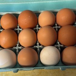 Eggs