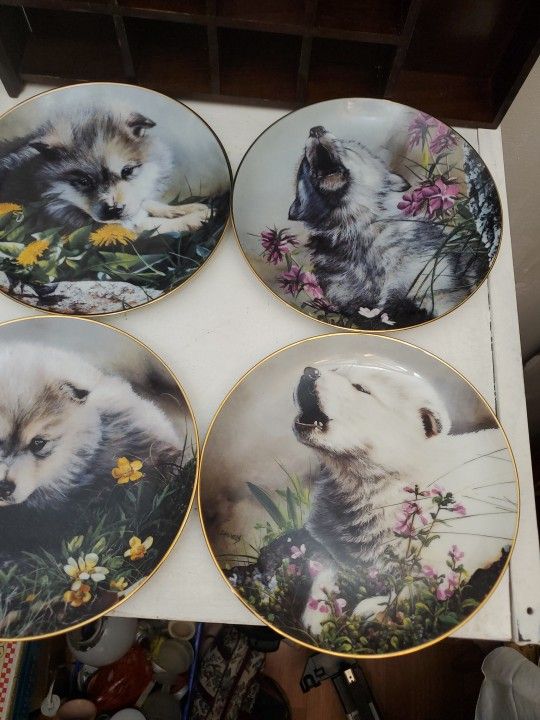 Wolf Pup Plate Decor