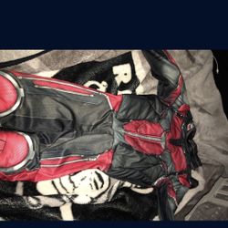 Ant man costume