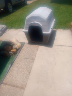 Dog House gray