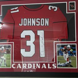 Cardinals- David Johnson 35 X 43 Autographed Framed Jersey