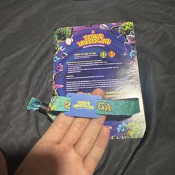 BEYOND WONDERLAND GA 2DAY 2026