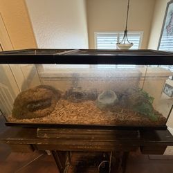 Snake Terrarium 