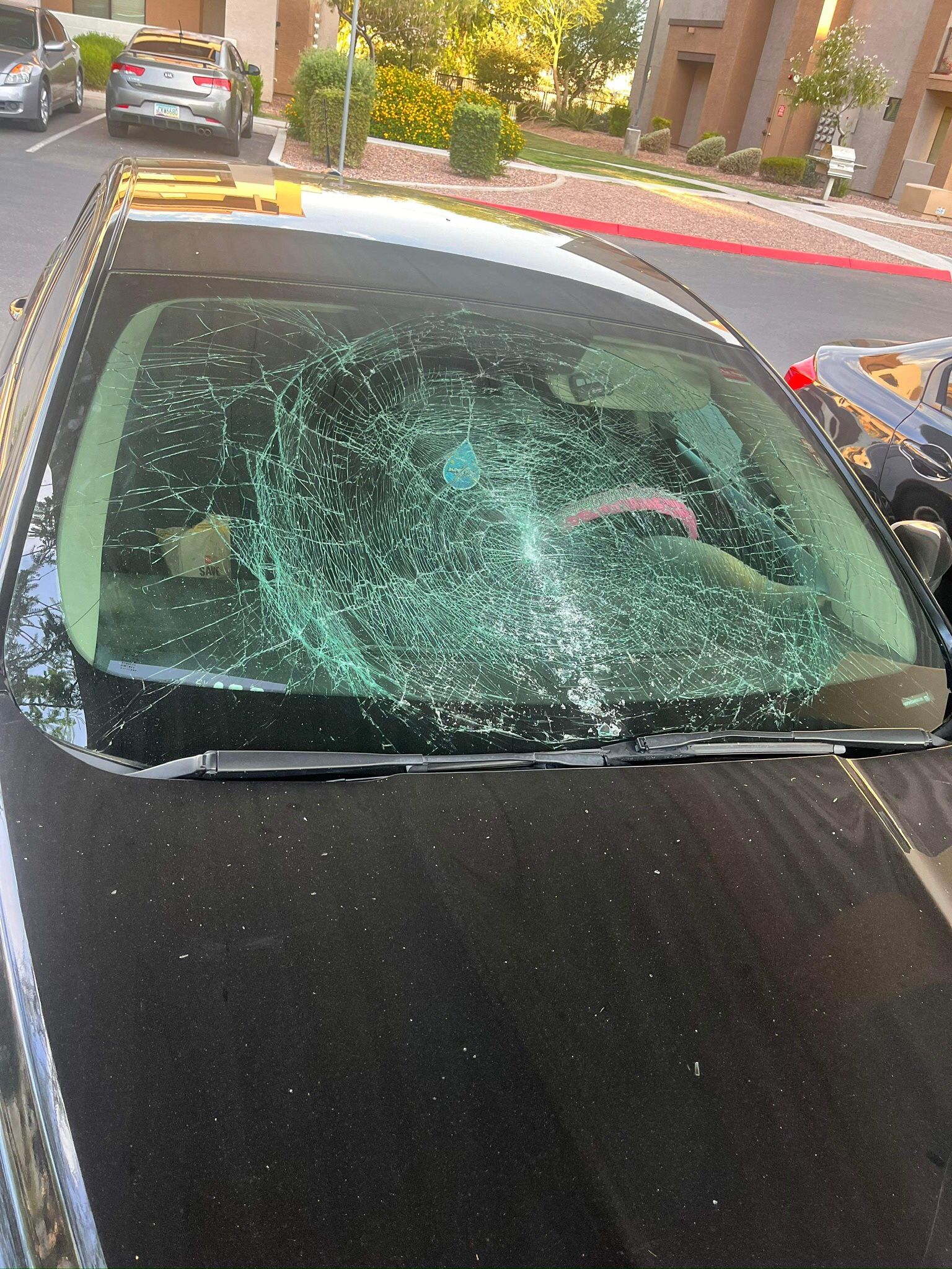 New Windshield
