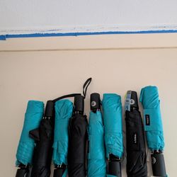New Umbrella's 
