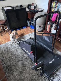Petsite Dog Treadmill