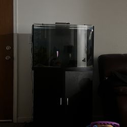Aquarium | Fish Tank