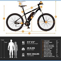 Jasion Mountain E-Bike 