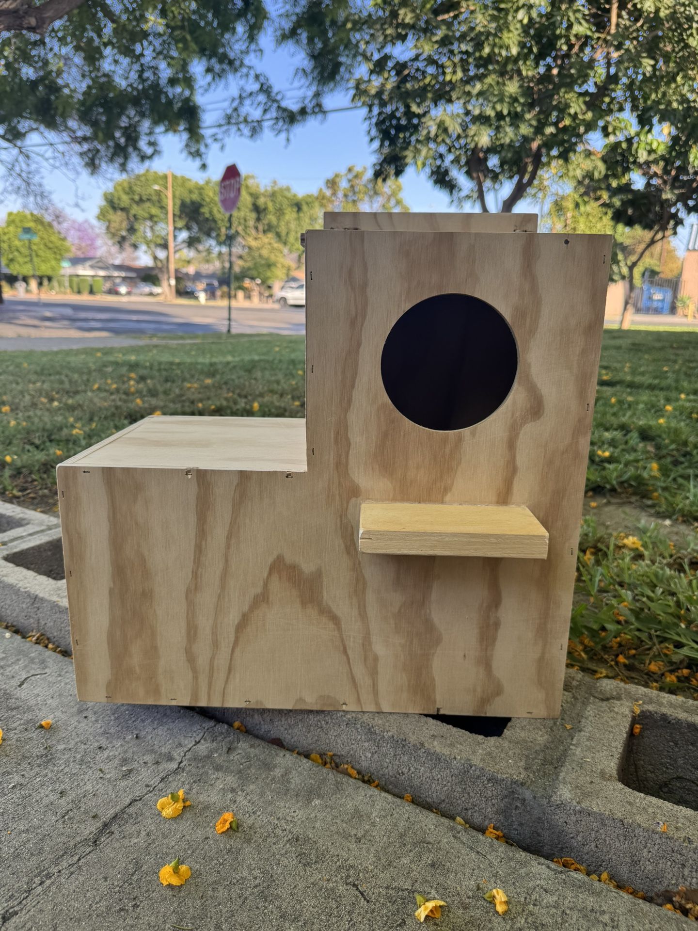 Parrot nest box