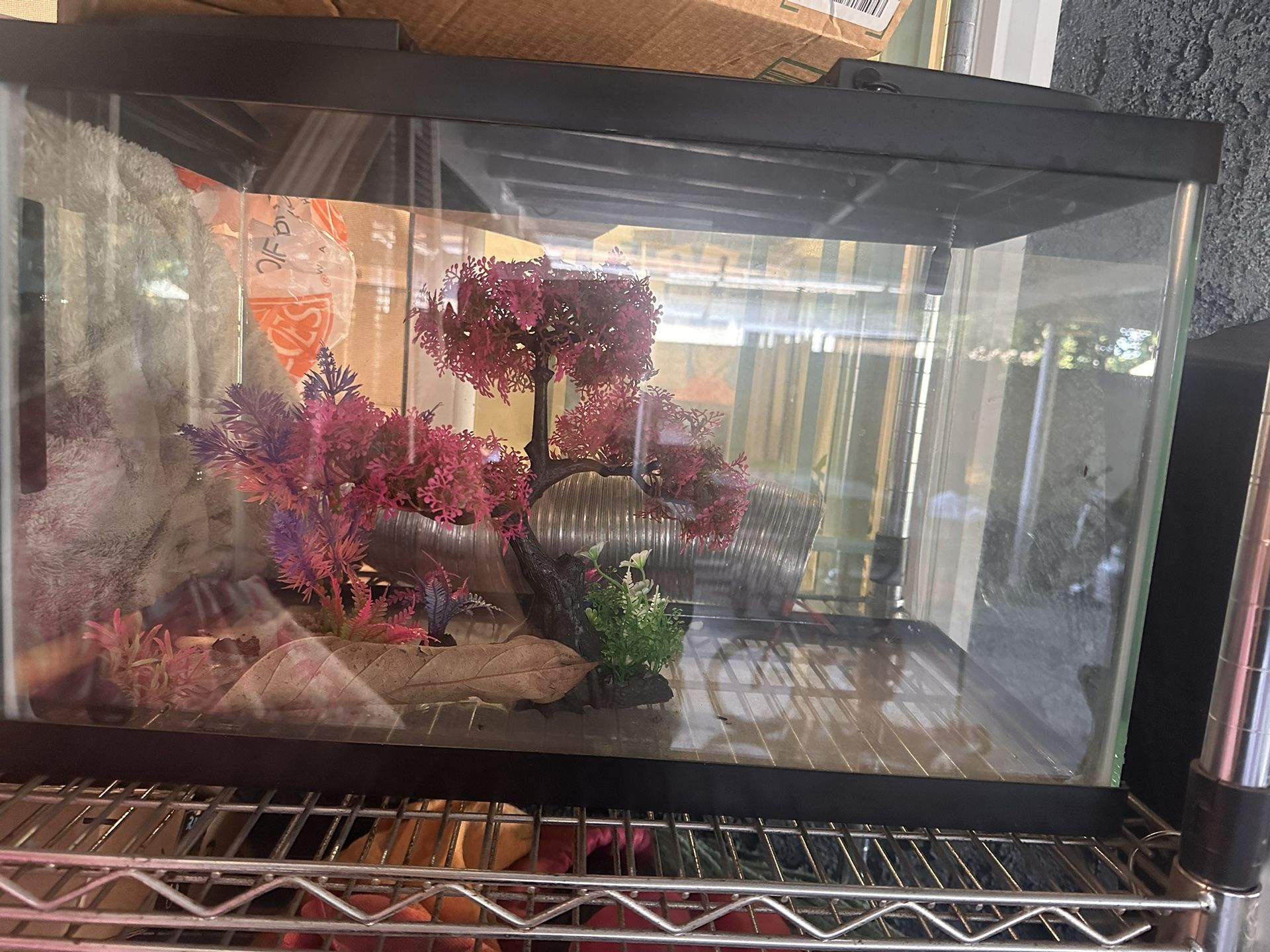 Fish tank