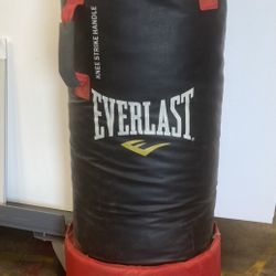 Everlast Punching Bag  40lbs