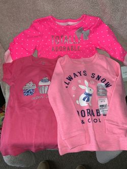 Toddler Girl Lot Size 18mo