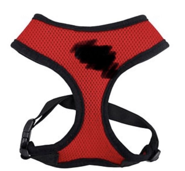 Best Harness for Small Dogs.