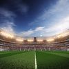 Soccer Fan