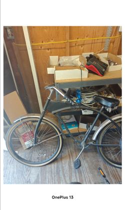 Beach Cruiser