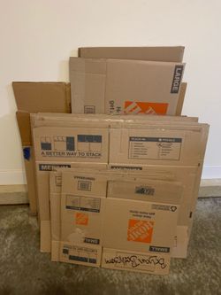 One extra large, three large 15 medium and five small