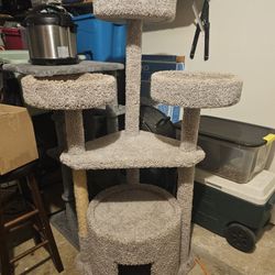 Cat Tower