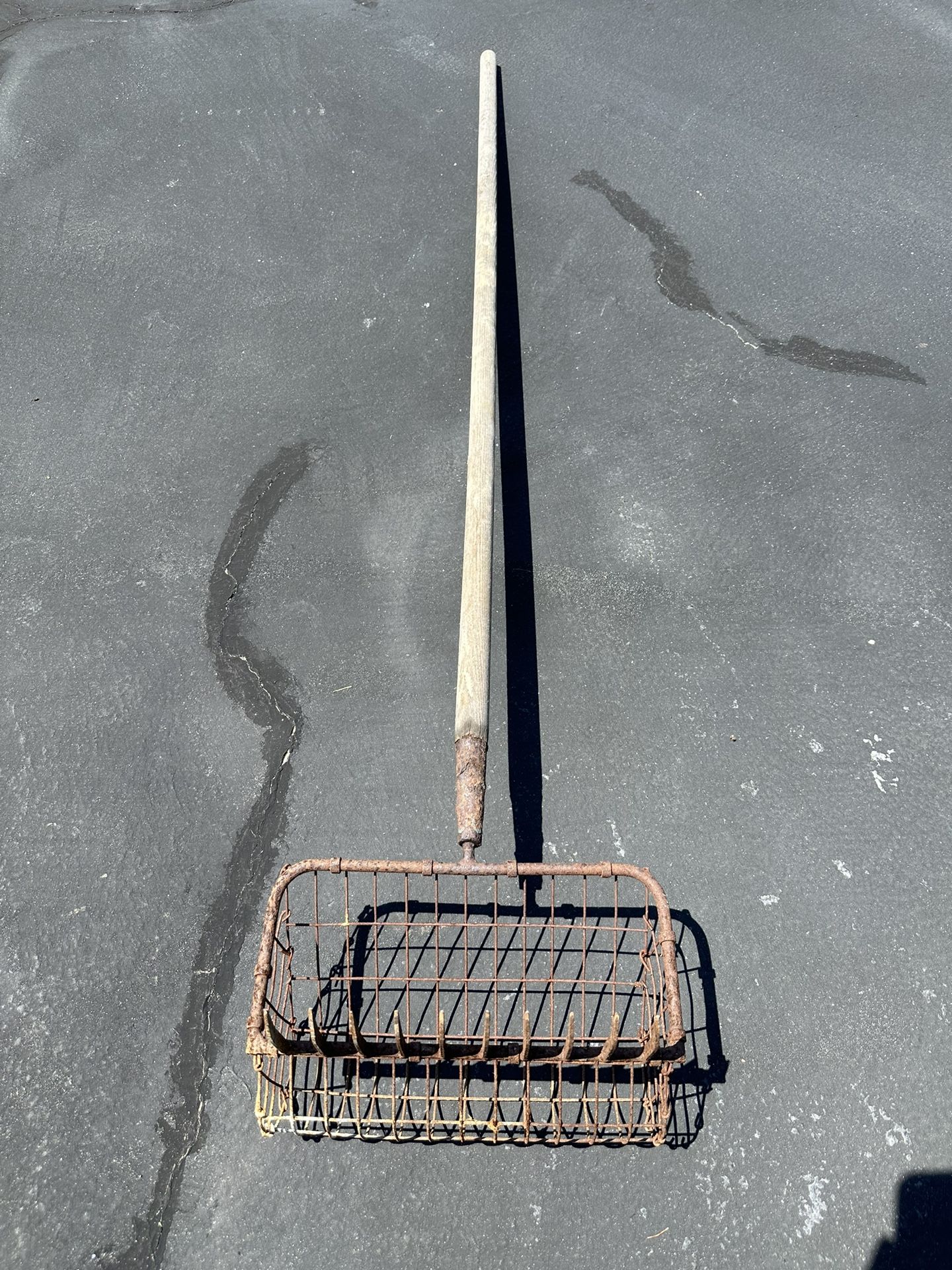 Clam Rake