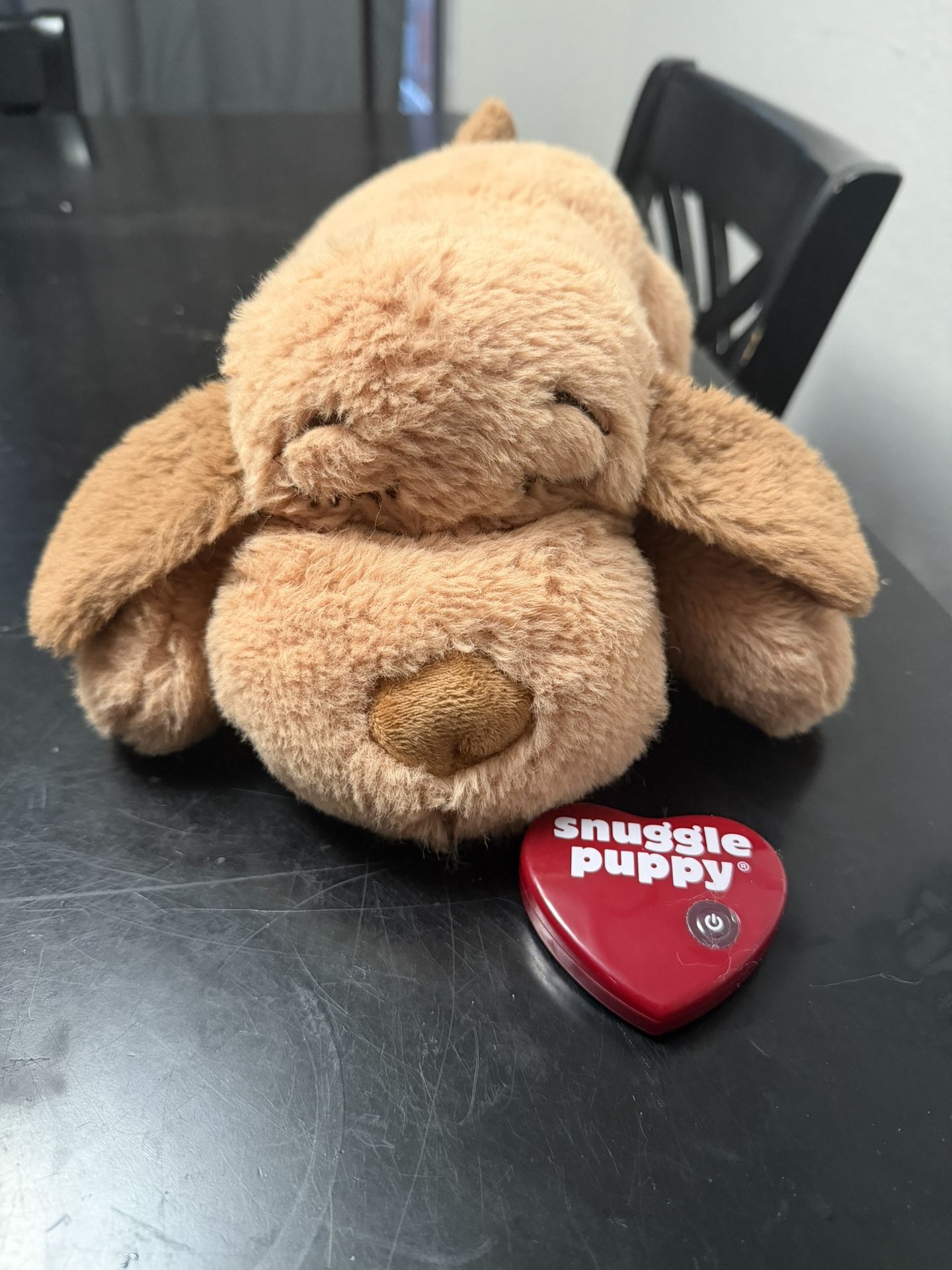 Puppy bundle! Will Sell Separate