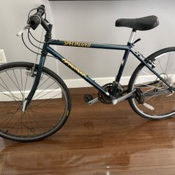 Specialized Bike 17”