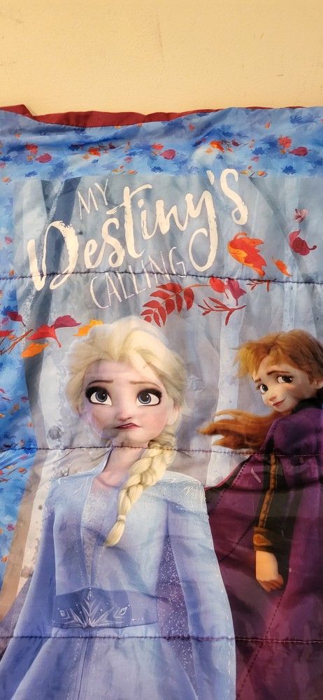 Anna and Elsa Sleeping Bag