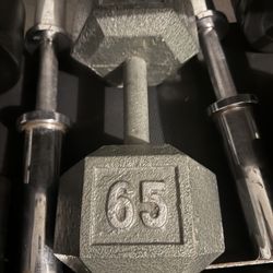 Single 65 pound dumbbell