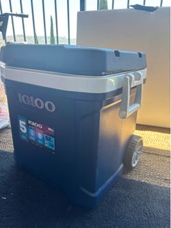Cooler