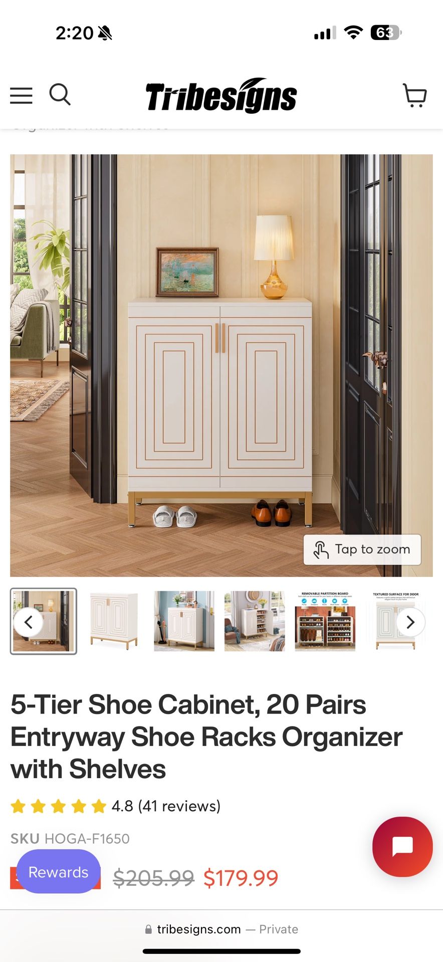 NEW - TribeSigns Double Door Shoe organize