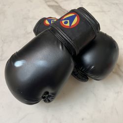 Victory Martial Arts Boxing Gloves 🥊