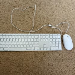 Apple Keyboard and Mouse