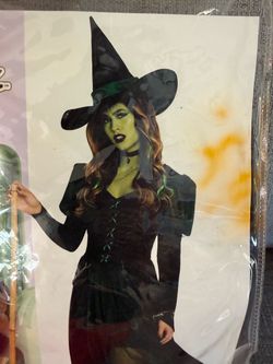 Women’s Halloween costume - wicked witch - wizard of oz